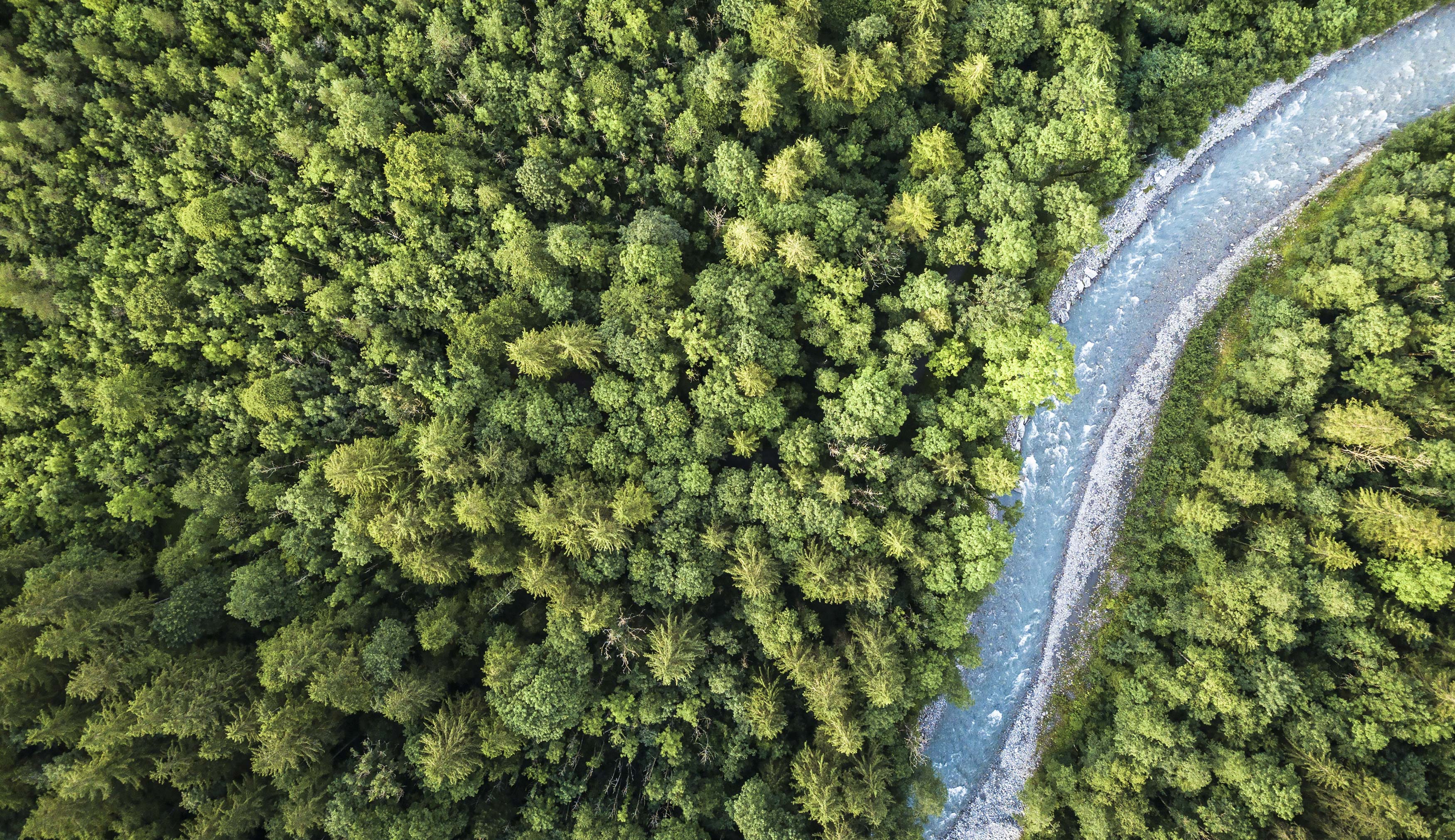 Renggli Haus - Nachhaltigkeitsbericht 2025