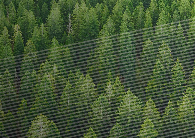 Webinar: Wie reduziert smartes Engineering die Komplexit&auml;t im Holzbau?