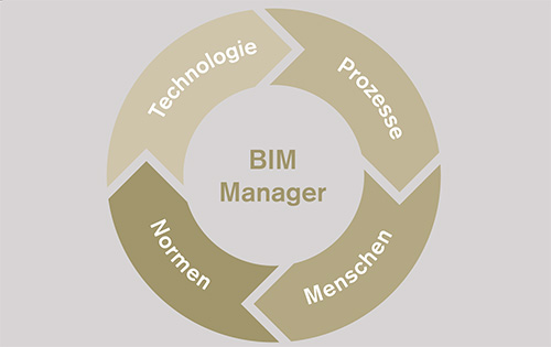 Grafik mit Kreis: BIM-Manager mit verschiedenen Funktionen