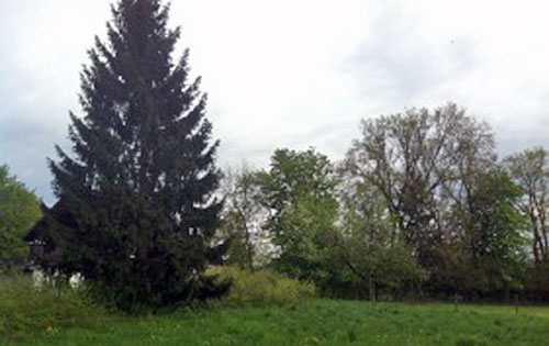 Garten
