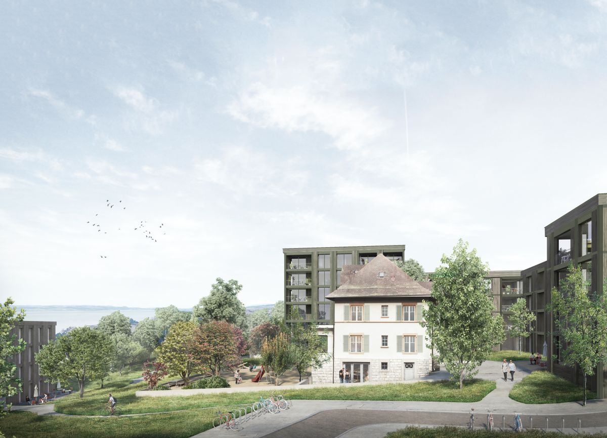 Merhfamilienhaus Concept B