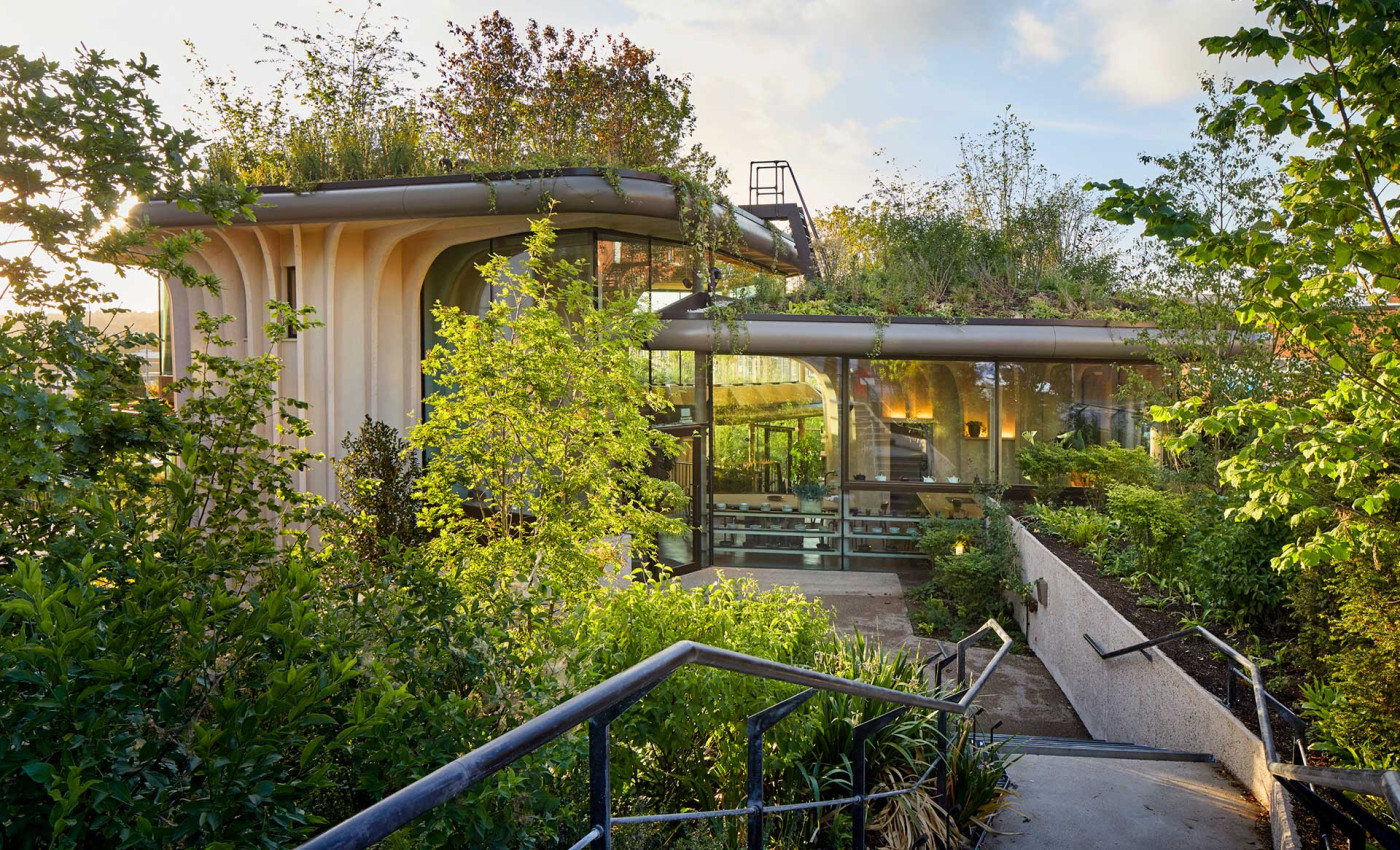 Architektur als Medizin