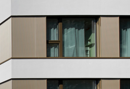 Bild von Fassadenarten ohne Holz für Holzbauten