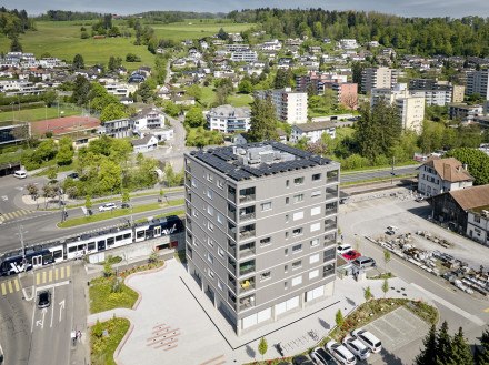 8 Stockwerke hohes Holzbaumonument