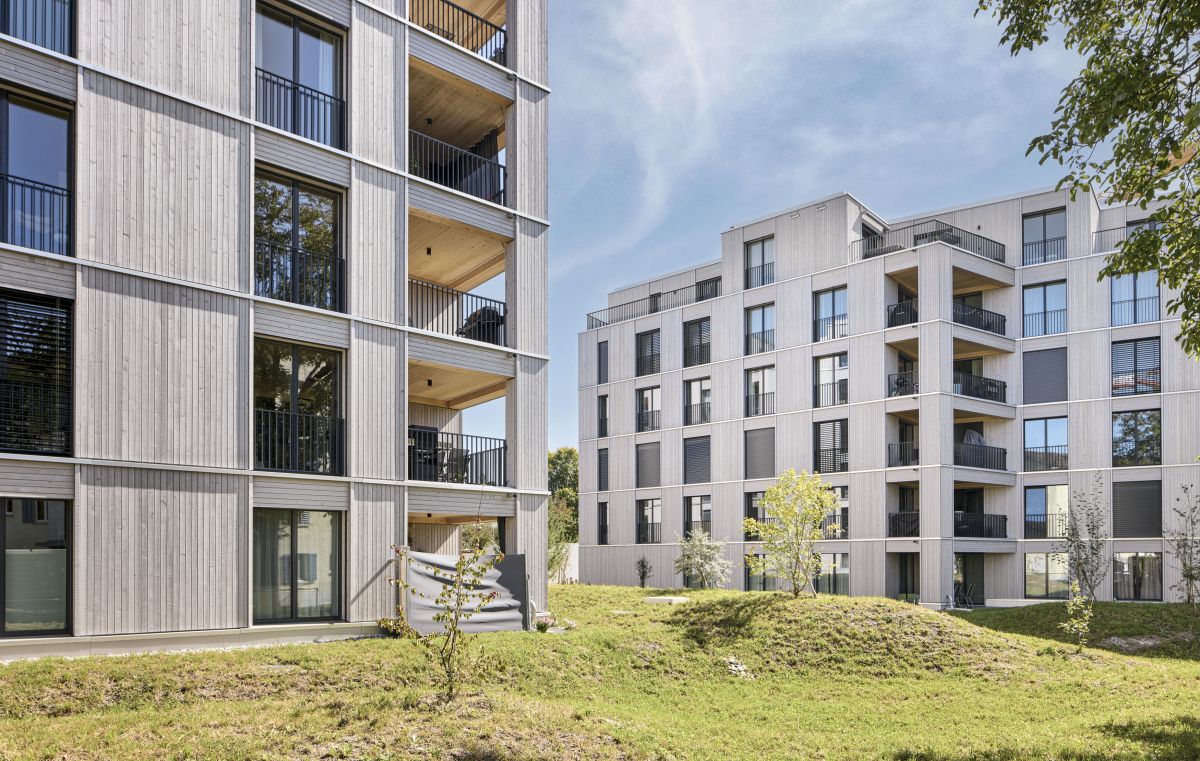 Bild von Design-Build: Praxisbeispiel «Wohnen im Zelg»