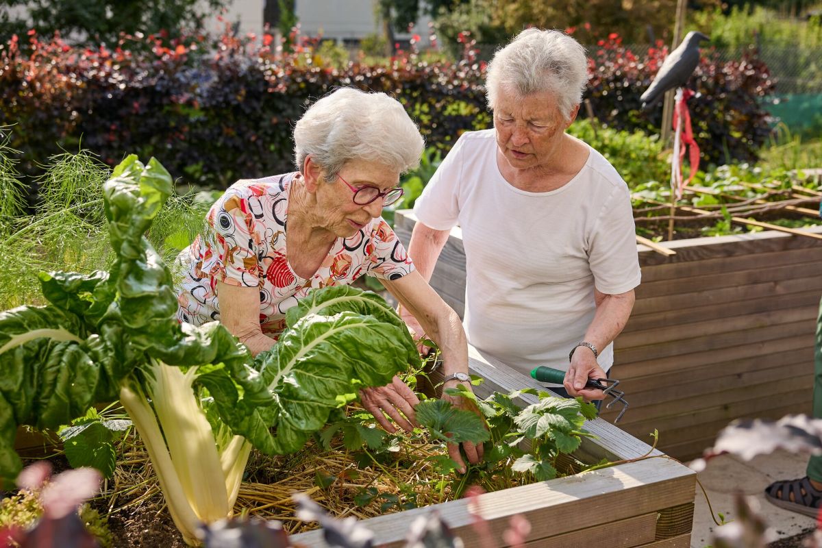 Ein Hochbeet für Gemüse mit zwei Bewohnerinnen an der Arbeit