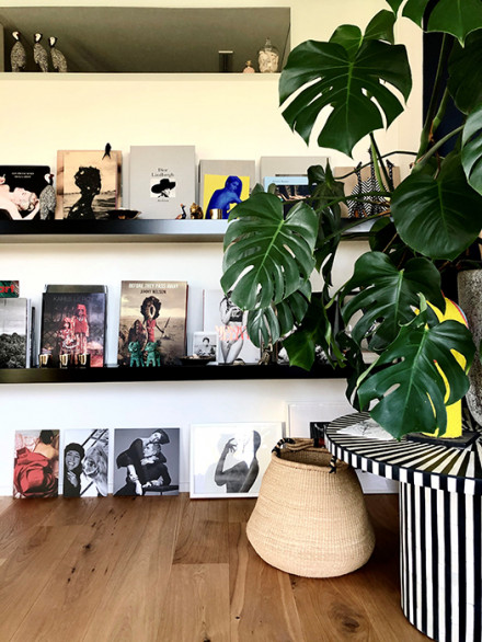 Etagère avec des livres d’art, plante et parquet.