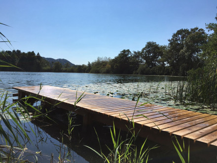 Ponton sur le lac de Mauensee.