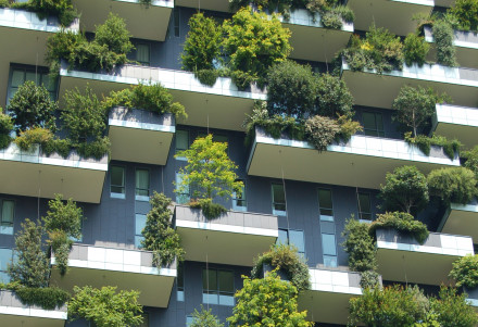 Bild von Une forêt dans la maison