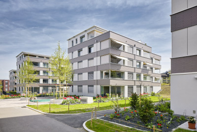Bild von Lotissement Waldhof Rotkreuz