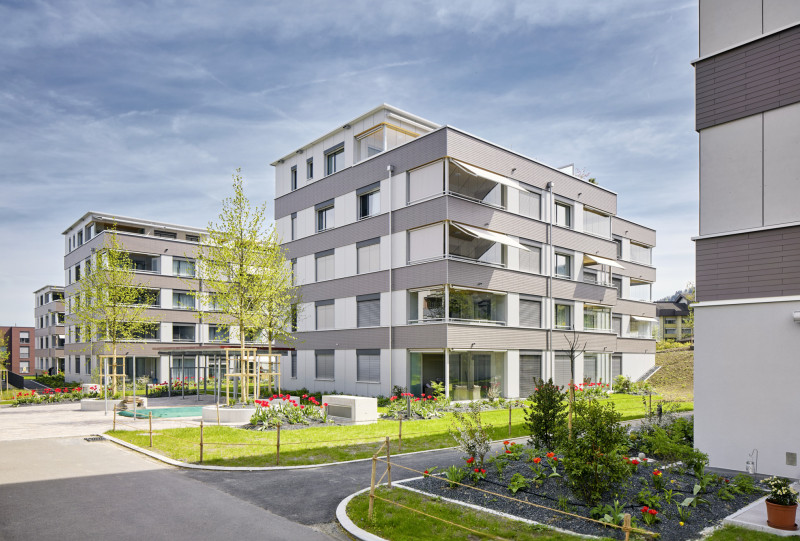 Bild von Lotissement Waldhof Rotkreuz