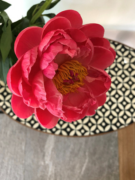 Une pivoine sur une petite table marocaine.