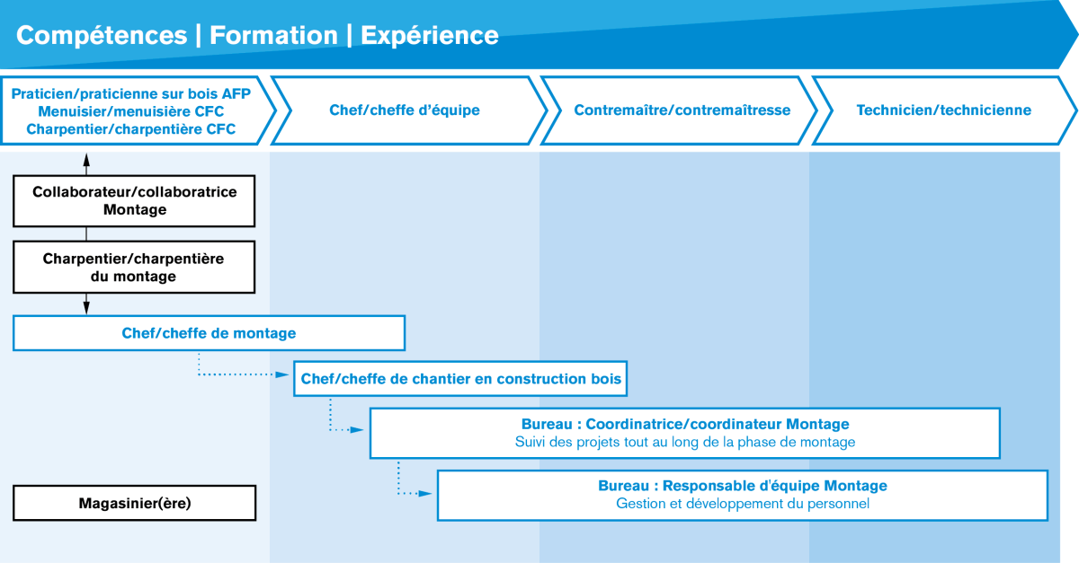 Graphique reprenant les différents profils de poste et les possibilités d’évolution dans le montage selon les compétences, la formation et l’expérience