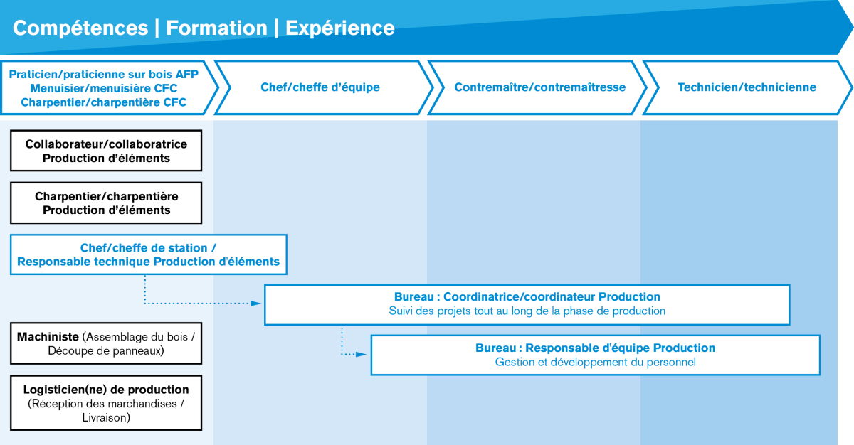 Graphique reprenant les différents profils de poste et les possibilités d’évolution au sein du site de production selon tes compétences, ta formation et ton expérience