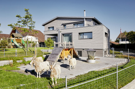 La casa delle capre