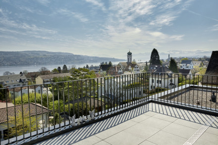 terrazza con vista lago zurigo